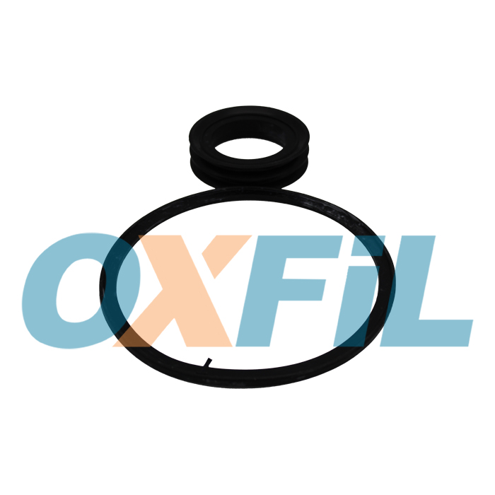 Related product VFS.005 - Gaskets / Rings / Valves Kits