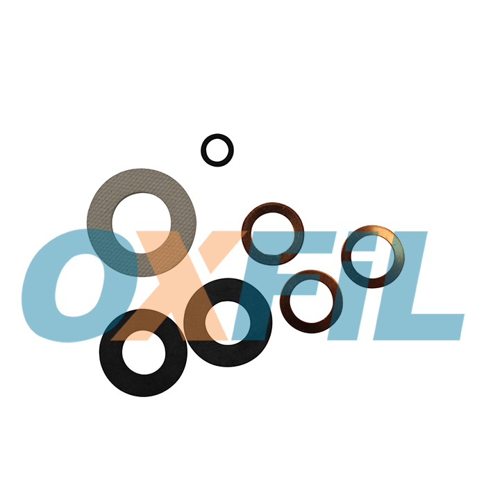 OGS.300 - Set di guarnizioni