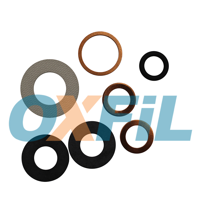 OGS.600 - Gaskets / Rings / Valves Kits