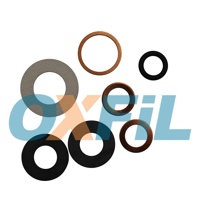 Top of Elmo Rietschle 25160104 (1/3) - Gaskets / Rings / Valves Kits