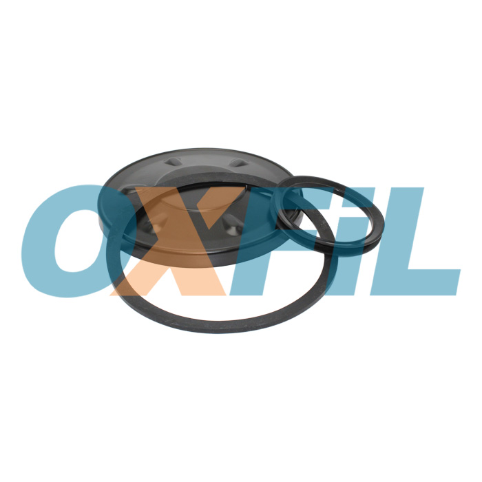 Top of Sofin SCF0020 - Gaskets / Rings / Valves Kits