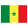 Flag of Szenegál